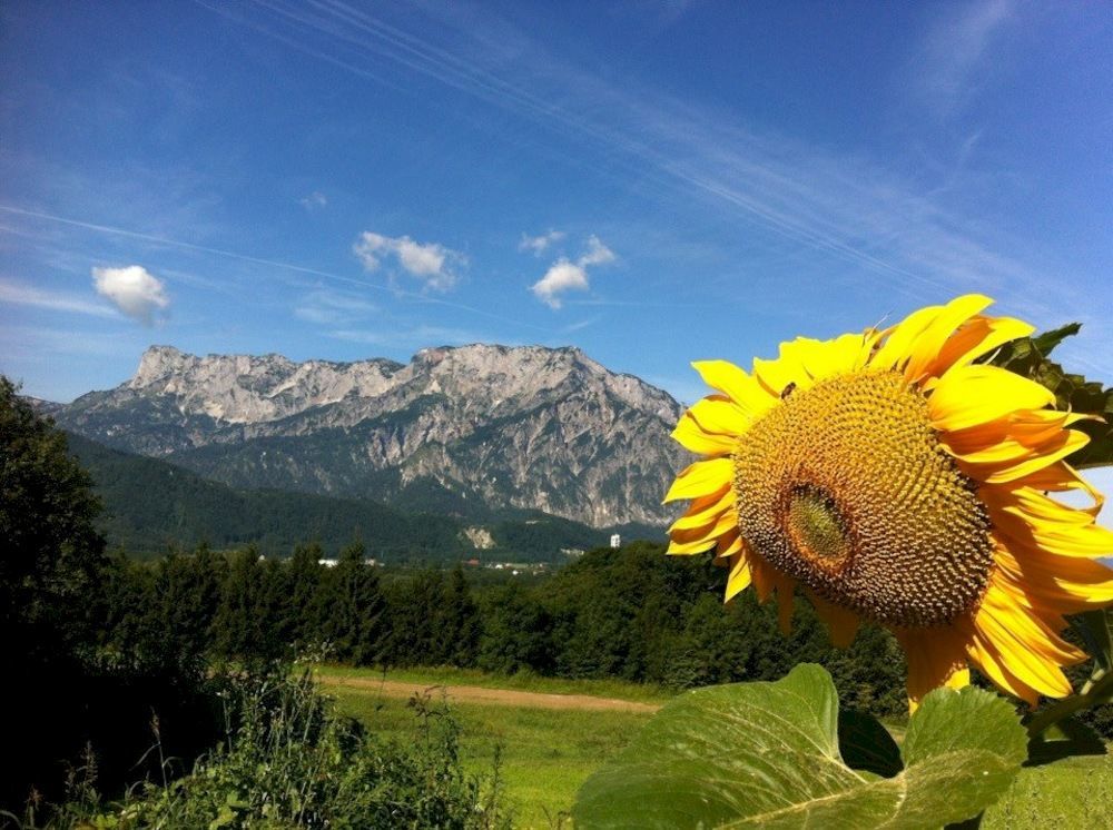 Pension David Puch bei Hallein Exteriér fotografie
