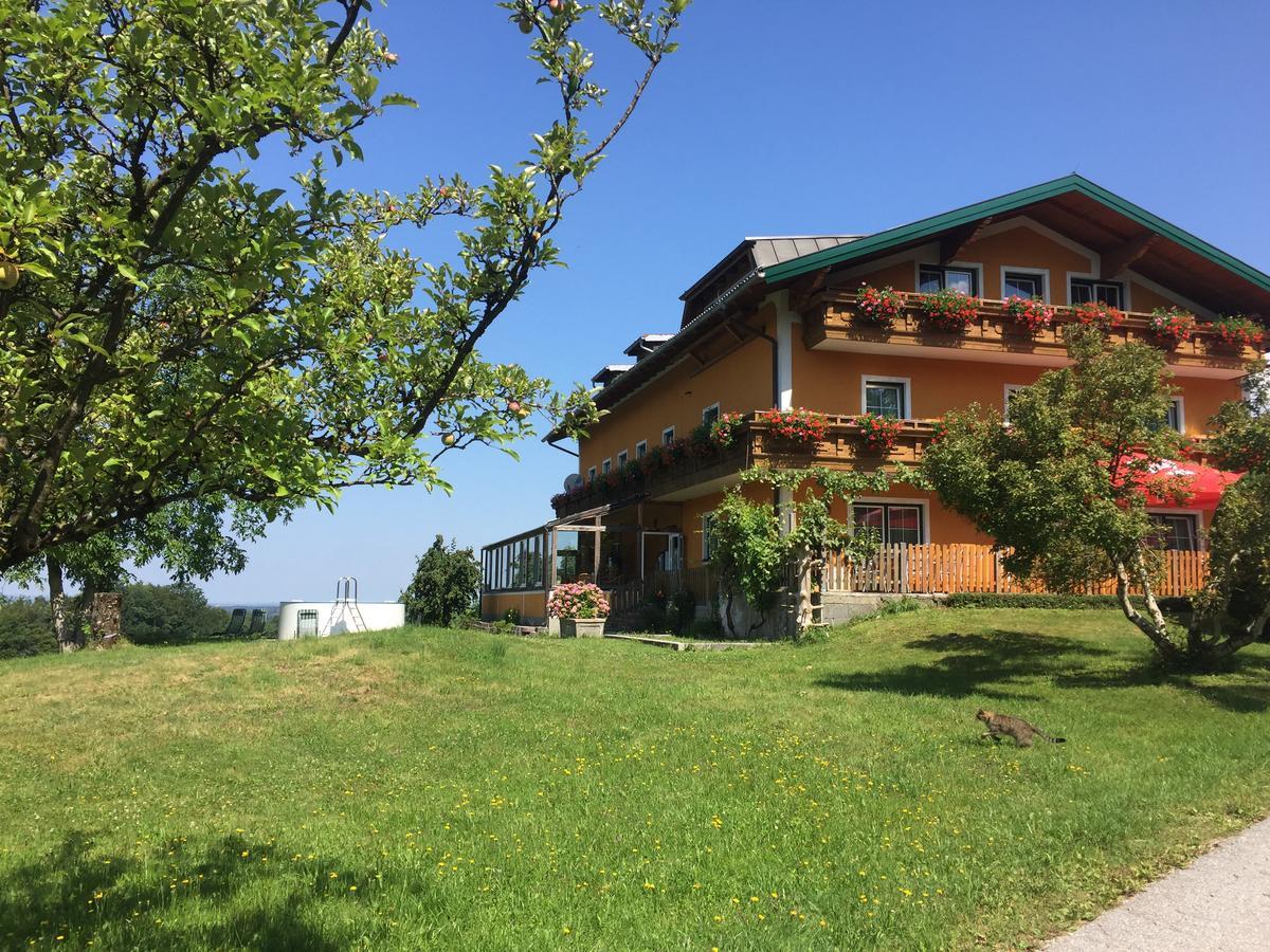 Pension David Puch bei Hallein Exteriér fotografie